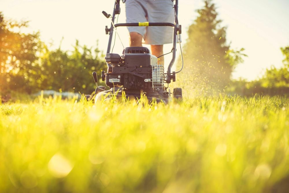Lawn mowing in progress