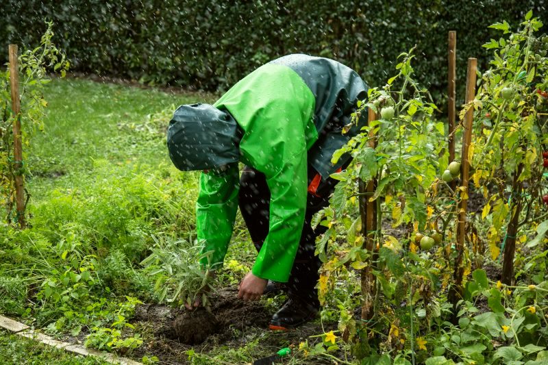 Weed control work in the garden
